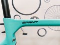 Rower-Bianchi-Sprint-105-emblematy.jpg