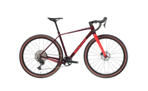 Rower Bianchi Arcadex AL 12SP UP YVBL3I
