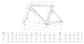 Rower Bianchi AQUILA DISC TRI DURACE DI2 YUB56I ZY Geometria