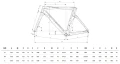 Rower Bianchi AQUILA DISC TRI RIVAL E1 AXS YUB58I ZY Geometria