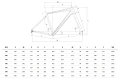 Rower Bianchi Nirone 7 DISC GRX600 11SP YUB62I GE Geometria