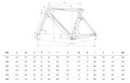 Rower Bianchi OLTRE COMP 105 DI2 12S YTB26I ZP Geometria
