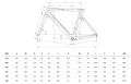Rower Bianchi OLTRE COMP RIVAL ETAP 12S YTB24I ZP Geometria