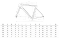 Rower Bianchi SPECIALISSIMA COMP RIVAL AXS YVB48I B9 geometria