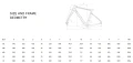Rower Arcadex ARCADEX PRO APEX/GX eTAP 12S YTB82I AW geometria