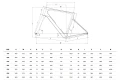 Rower Bianchi  INFINITO PRO ULTEGRA Di2 P YVB3KI 9H
