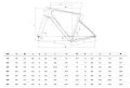Rower Bianchi INFINITO SHIMANO 105 MEC 12S YVB2K 9G